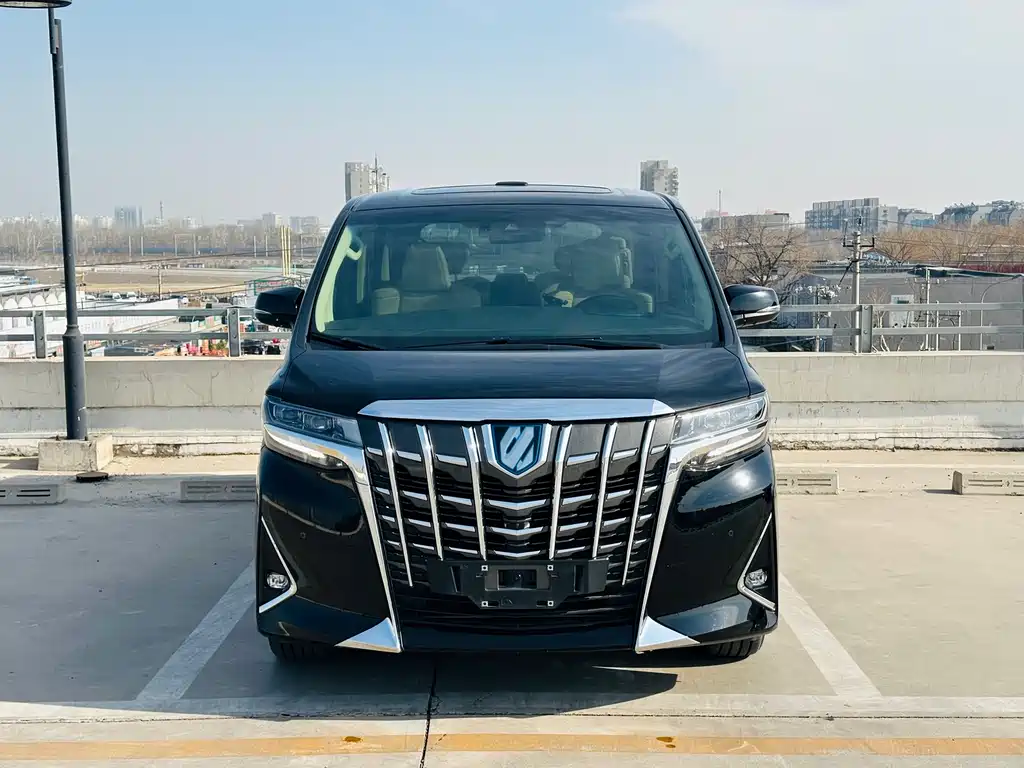 Alfa 2021 Dual Engine 2.5L Deluxe Edition купить на сайте DeffCars