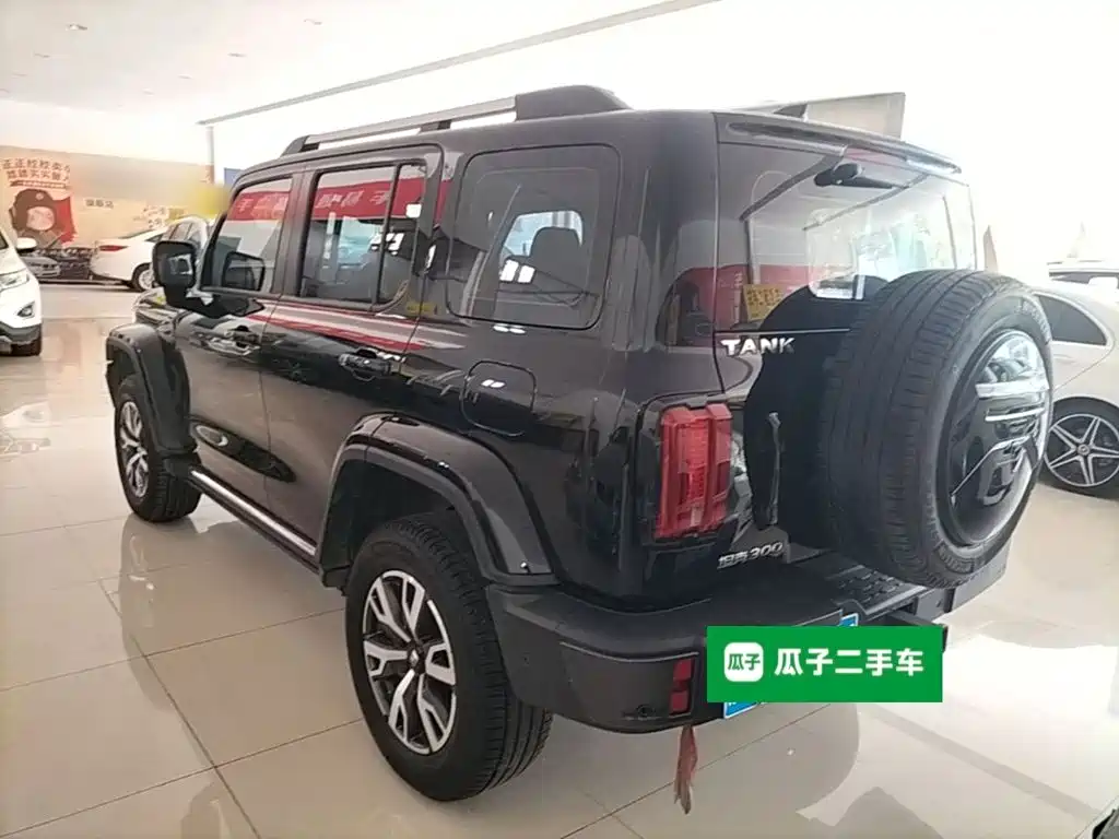 TANK 300 2023 City Edition 2.0T Very Stylish купить на сайте DeffCars