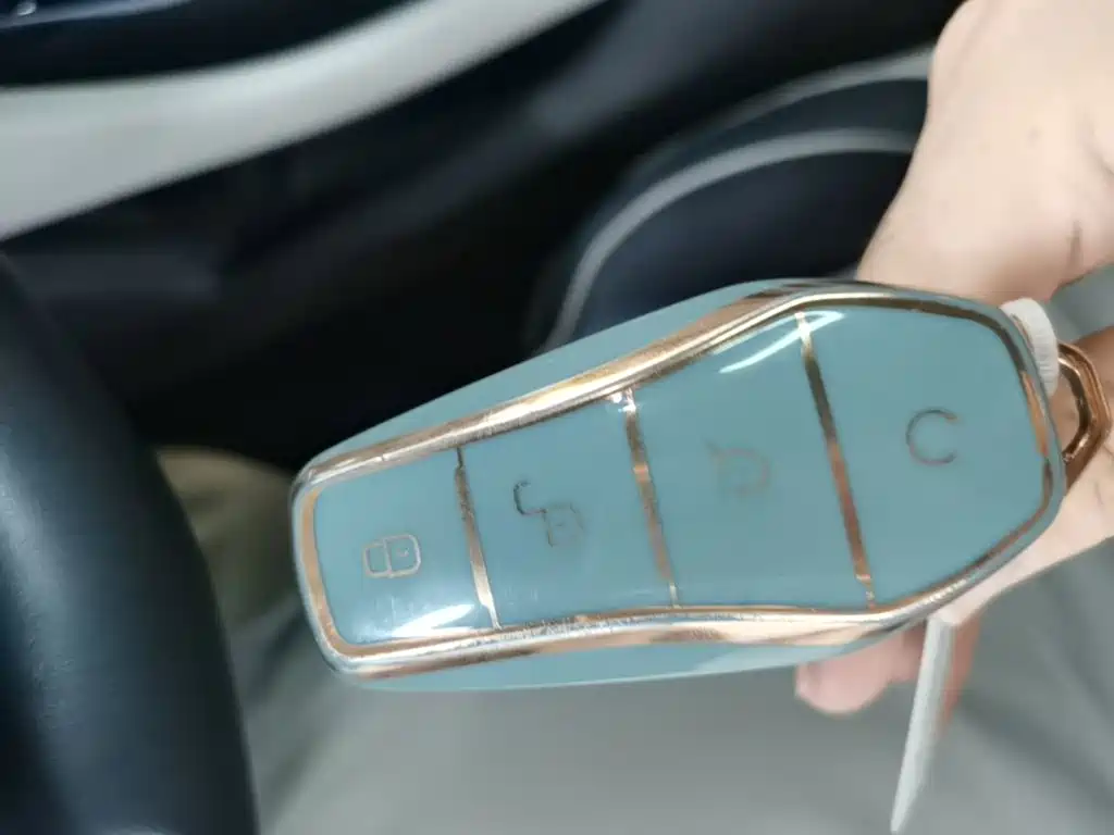Qin PLUS 2021 EV 500KM Premium Model купить на сайте DeffCars