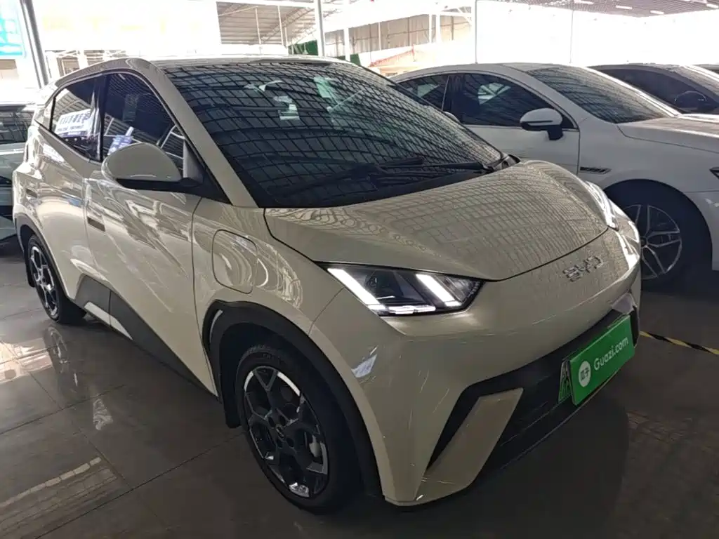 Seagull 2024 Honor Edition 305km Free купить на сайте DeffCars