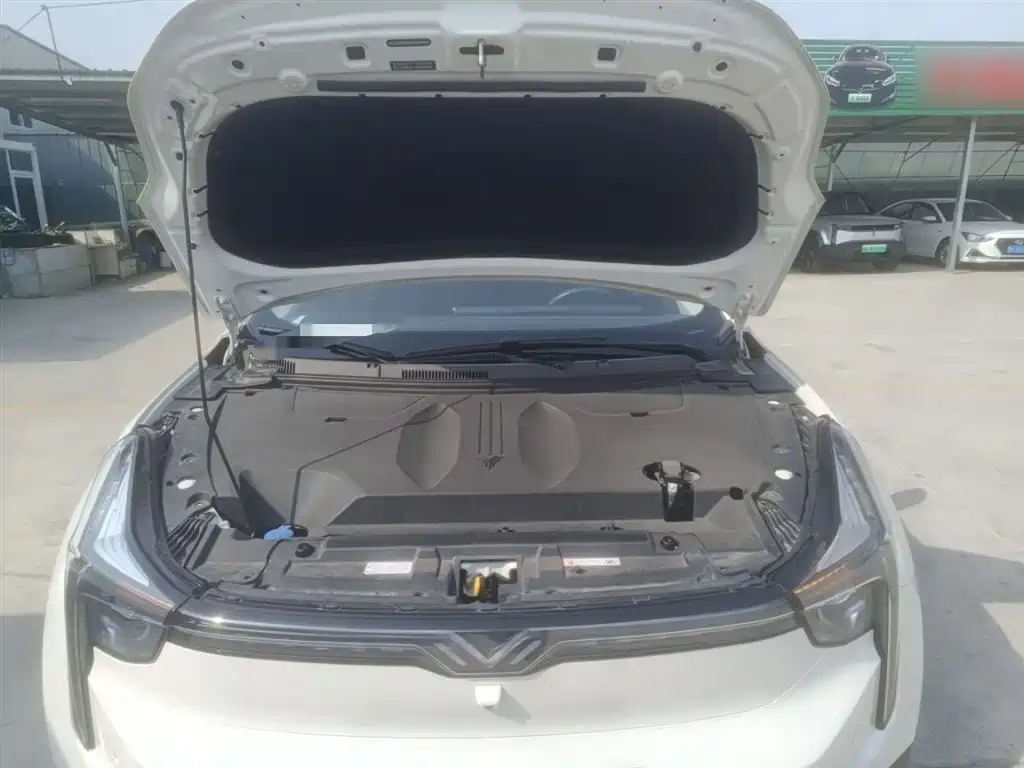 Nezha U 2021 Pro 500 Global Edition купить на сайте DeffCars
