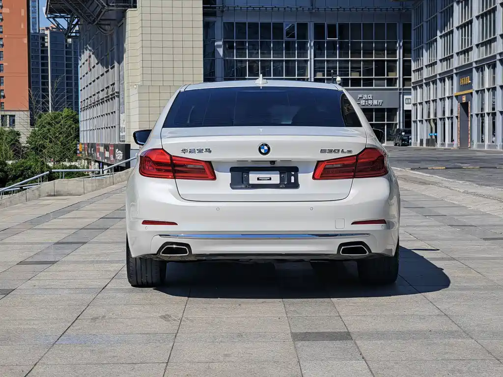 BMW 5 Series New Energy 2020 530Le Luxury Package купить на сайте DeffCars