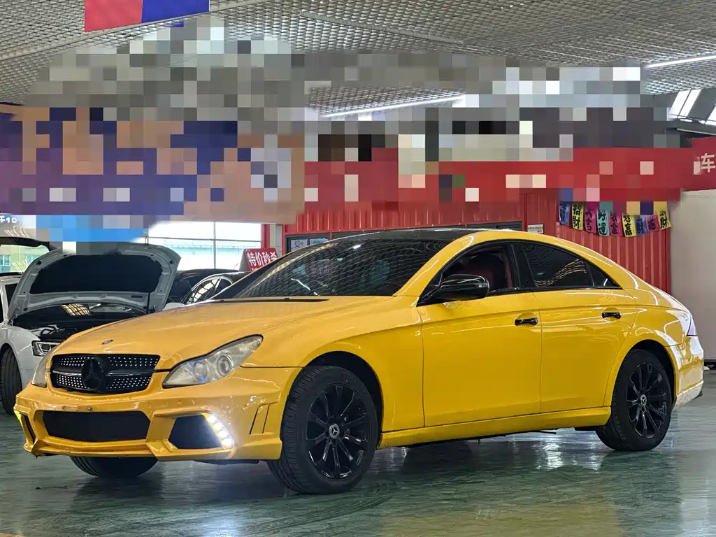 Mercedes-Benz CLS 2009 CLS 300 купить на сайте DeffCars