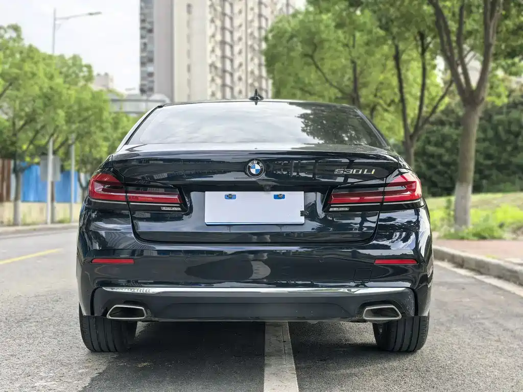 BMW 5 Series 2021 530Li Leading Luxury Package купить на сайте DeffCars