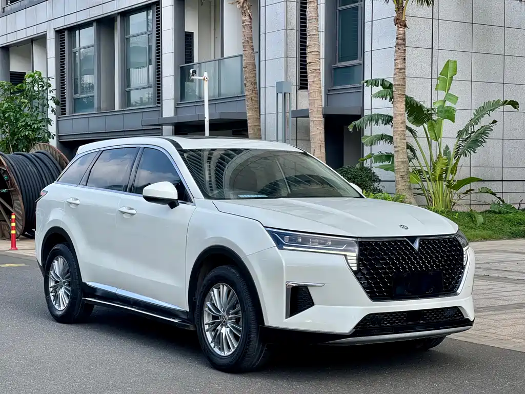 Venucia 2021 260T Automatic Xingshang Edition купить на сайте DeffCars