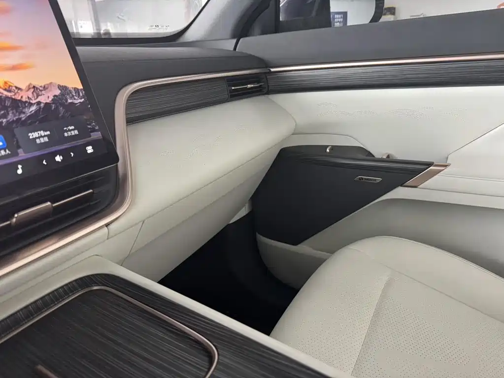 eπ008 2025 model 636Max Ruyi version 6 seats купить на сайте DeffCars
