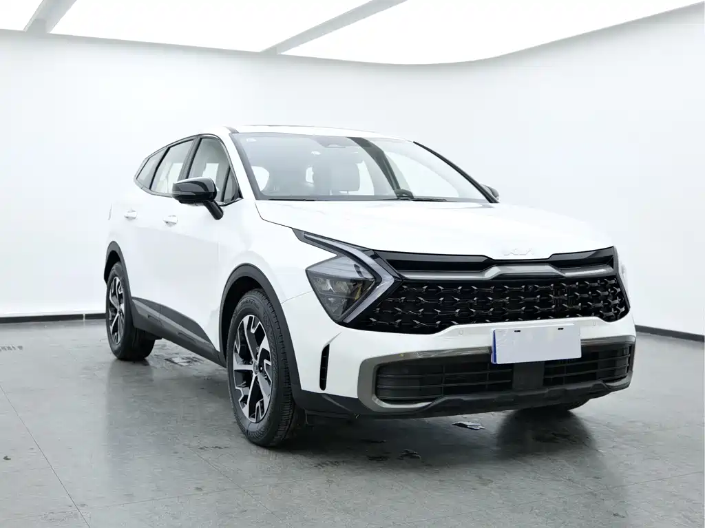 Lion Expands the World 2025 1.5T Two-wheel Drive Premium Intelligent Edition купить на сайте DeffCars