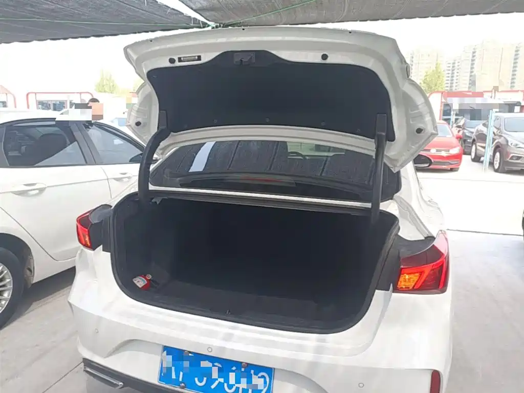 EADO 2021 PLUS Blue Whale NE 1.4T GDI DCT flagship model купить на сайте DeffCars