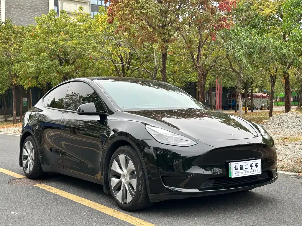 Model Y 2022 rear-wheel drive version купить на сайте DeffCars