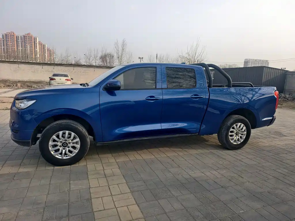 Cannon 2019 2.0T commercial version automatic gasoline two-wheel drive elite long box GW4C20B купить на сайте DeffCars