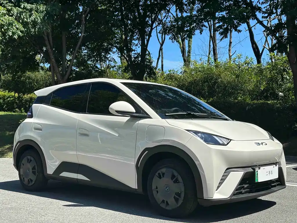 Seagull 2025 305km active version купить на сайте DeffCars