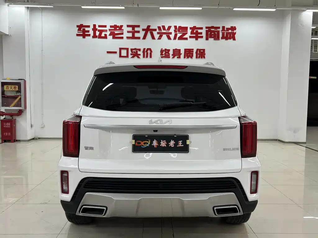 Zhipao 2021 Ace 2.0L Wonderful Edition купить на сайте DeffCars
