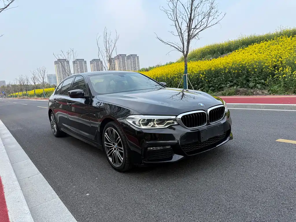 BMW 5 Series 2018 facelift 530Li leading M sports package купить на сайте DeffCars