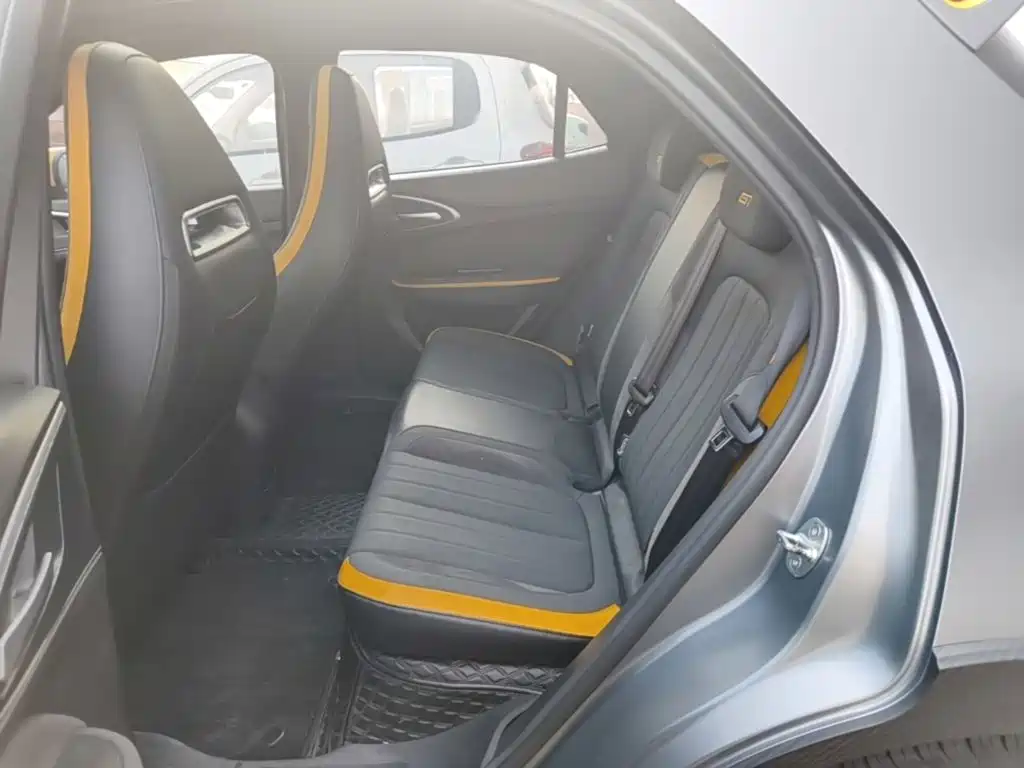 Euler Good Cat GT 2023 Mulan Edition 401km Premium Model купить на сайте DeffCars