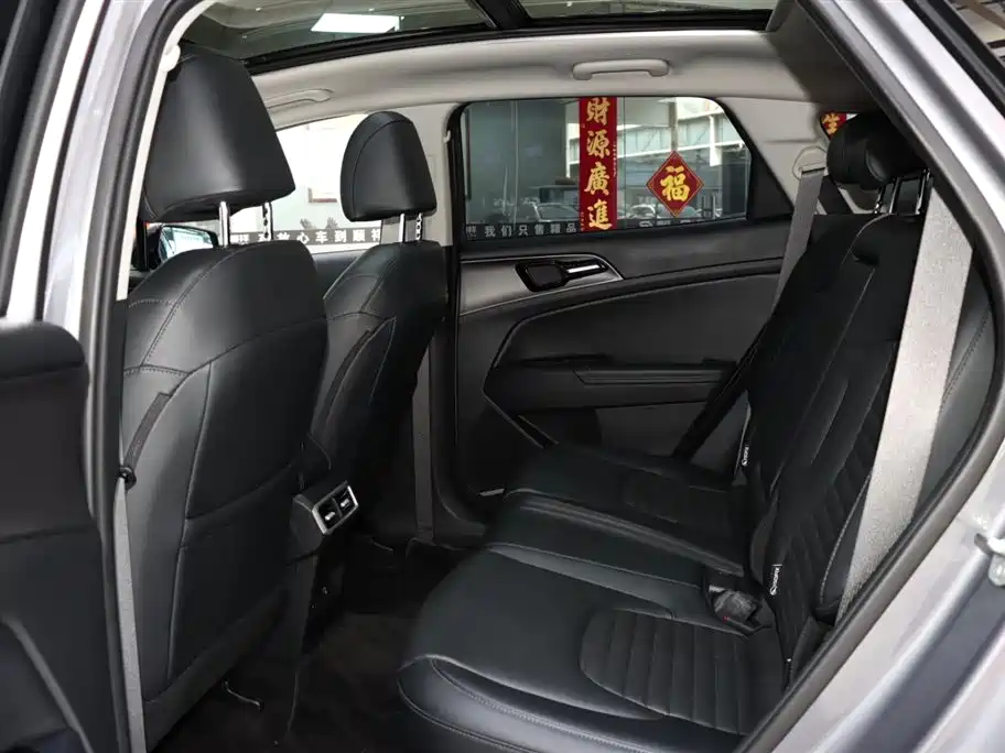 Lion Platinum Extension 2023 2.0T two-wheel drive premium version купить на сайте DeffCars
