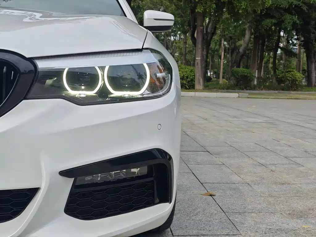 BMW 5 Series 2019 530Li Leading M Sports Package купить на сайте DeffCars