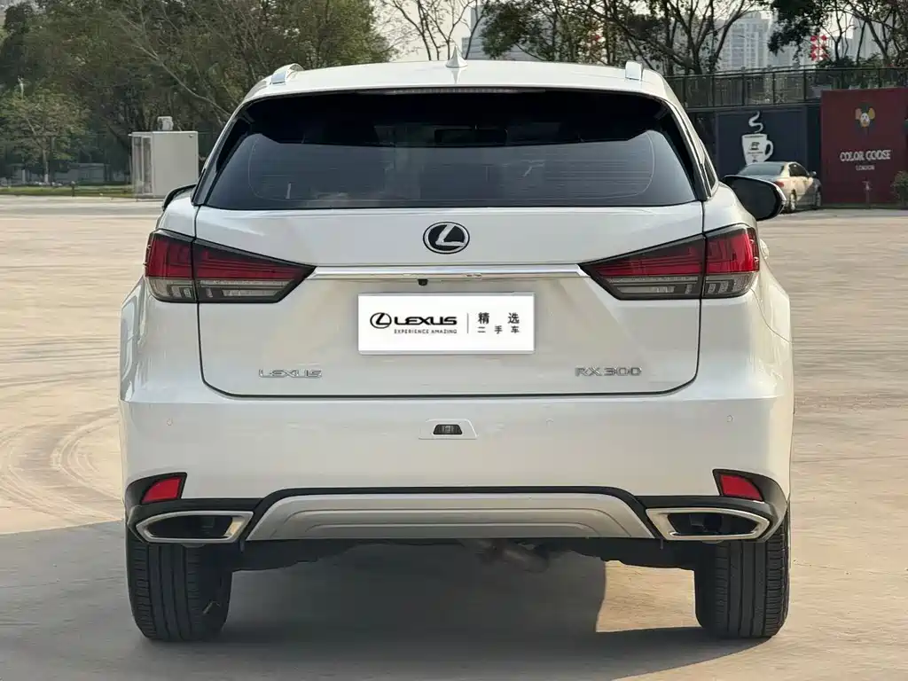Lexus RX 2020 facelift 300 two-wheel drive elite version купить на сайте DeffCars