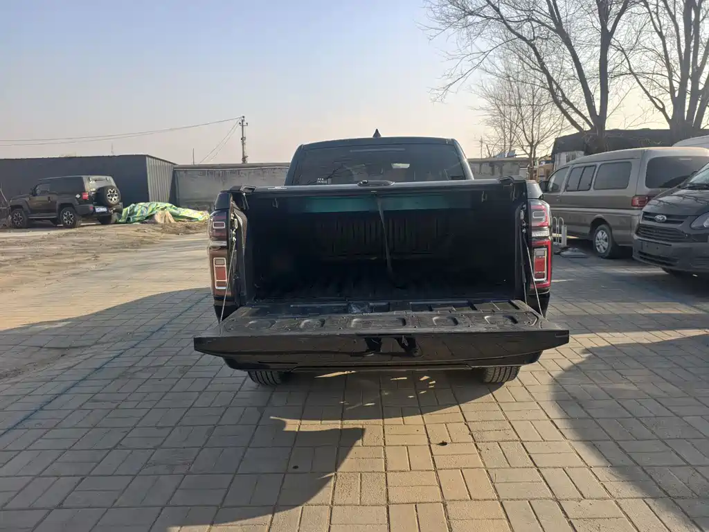 Cannon 2023 2.0T passenger version automatic gasoline four-wheel drive comfort model GW4C20B купить на сайте DeffCars