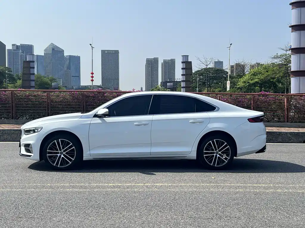 Xingrui 2023 2.0TD Premium Model купить на сайте DeffCars