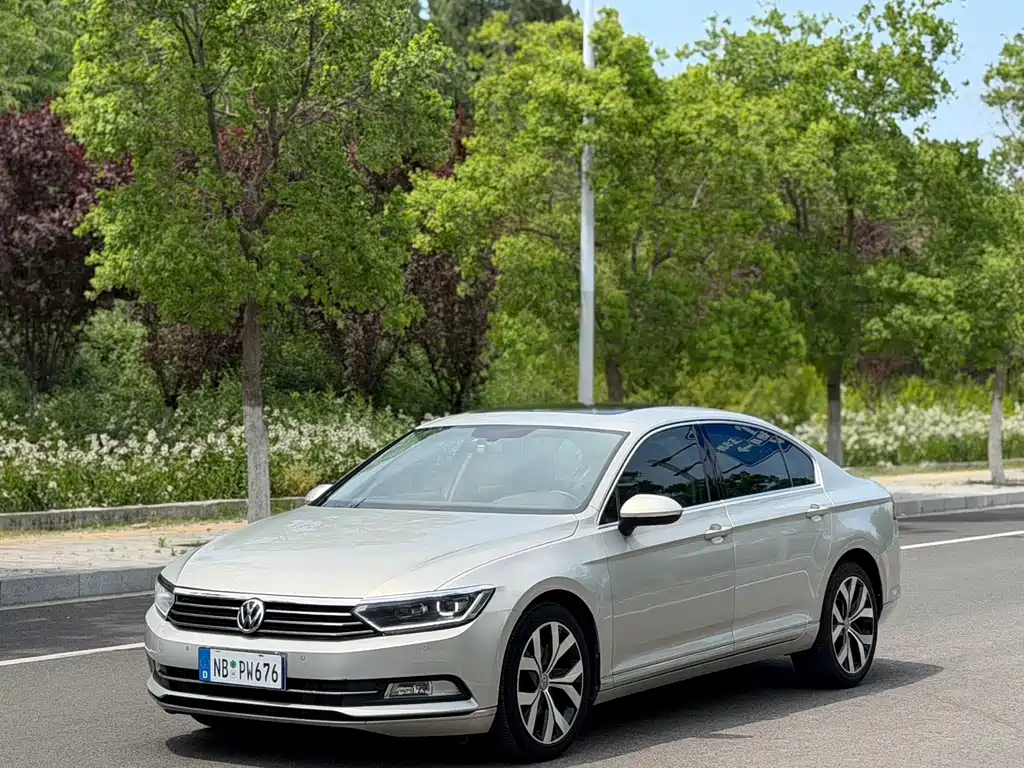 MAGOTAN 2019 330TSI DSG luxury model National VI купить на сайте DeffCars