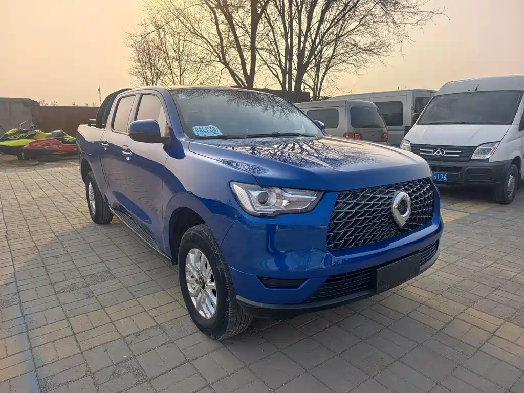 Cannon 2019 2.0T commercial version automatic gasoline two-wheel drive elite long box GW4C20B купить на сайте DeffCars