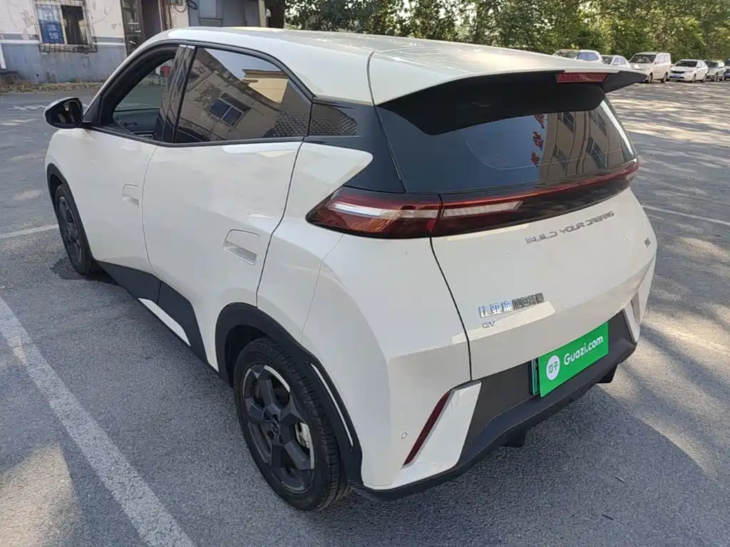 Seagull 2023 Flying Edition купить на сайте DeffCars