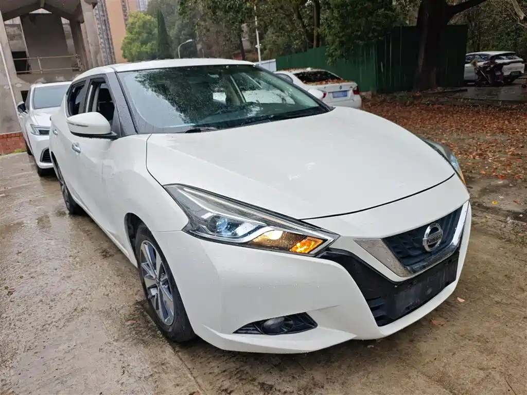 Bluebird 2019 1.6L manual cool version National VI купить на сайте DeffCars