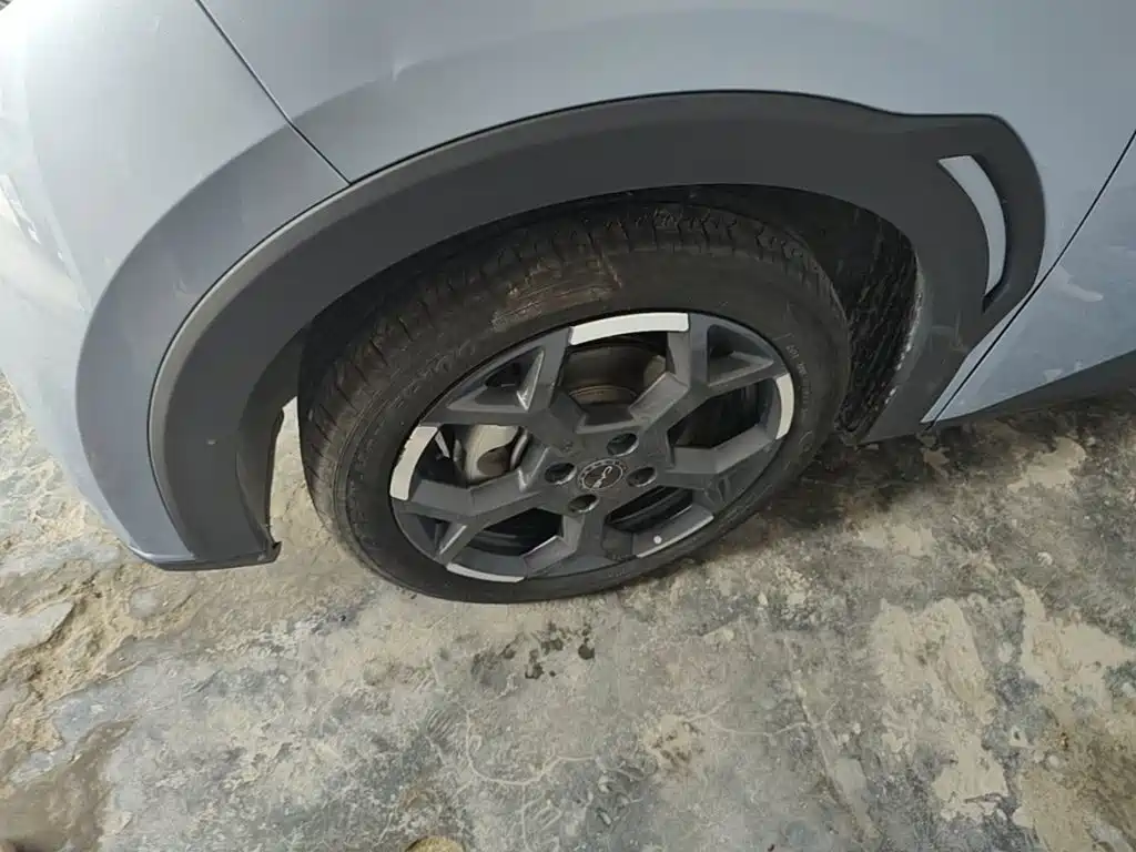 Seagull 2024 Honor Edition 305km Free Edition купить на сайте DeffCars