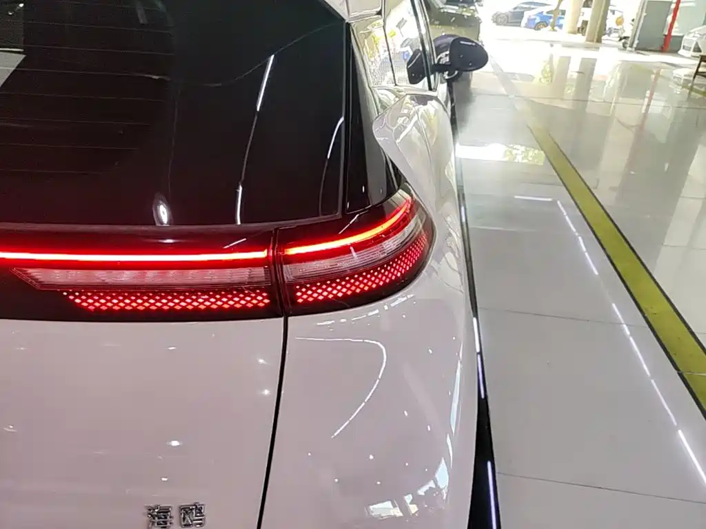 Seagull 2024 Honor Edition 305km Free Edition купить на сайте DeffCars