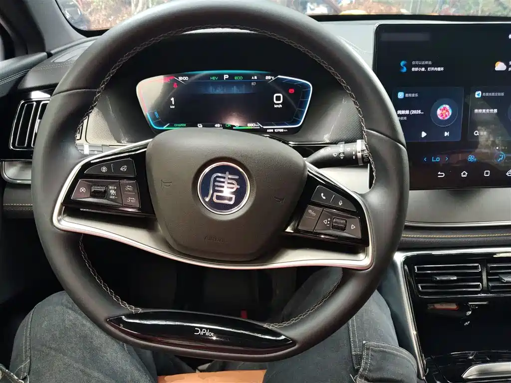 Tangxin Energy 2023 DM-i Champion Edition 112KM Exclusive Type купить на сайте DeffCars