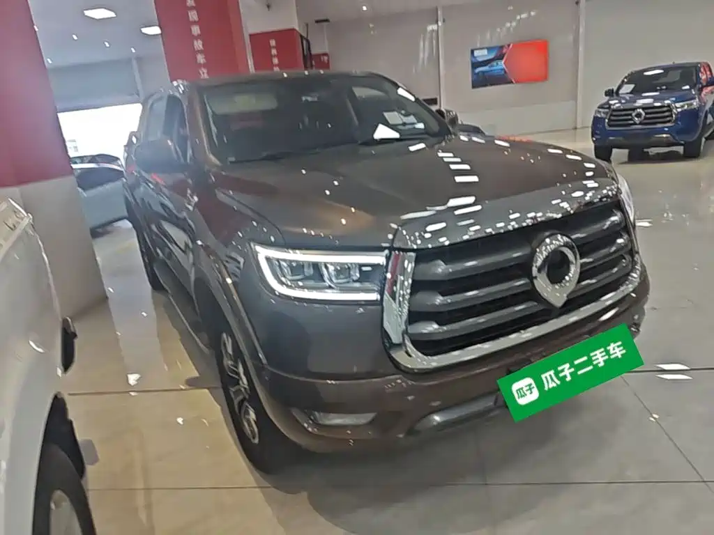 Cannon 2021 2.0T Passenger Global Version Automatic Diesel Two-wheel Drive Comfort Standard Box GW4D20M купить на сайте DeffCars