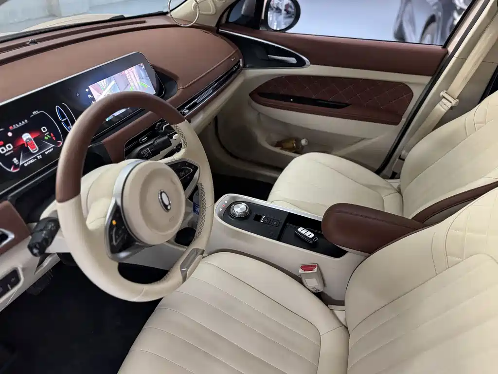 Euler Good Cat 2021 model 400km standard battery life Venus version ternary lithium купить на сайте DeffCars