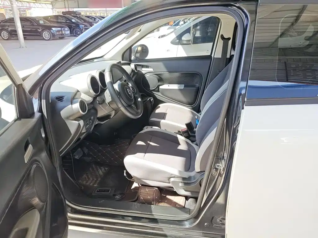 Euler Black Cat 2021 301km Cute Pet Edition купить на сайте DeffCars