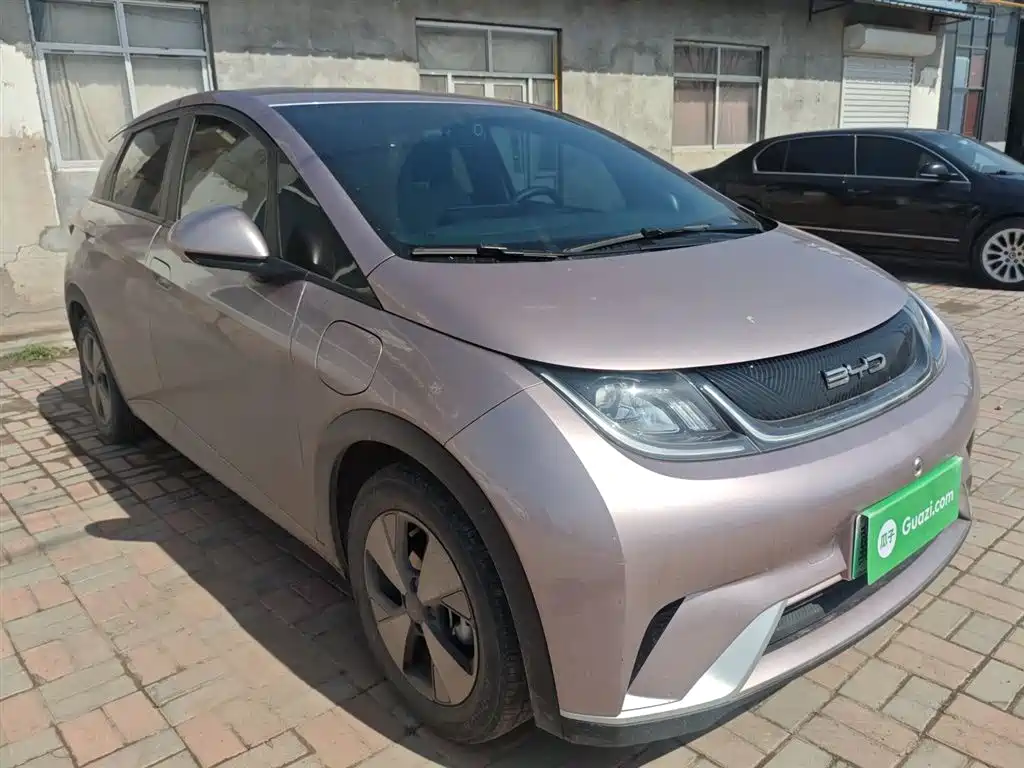 Dolphin 2023 420km Free Edition купить на сайте DeffCars