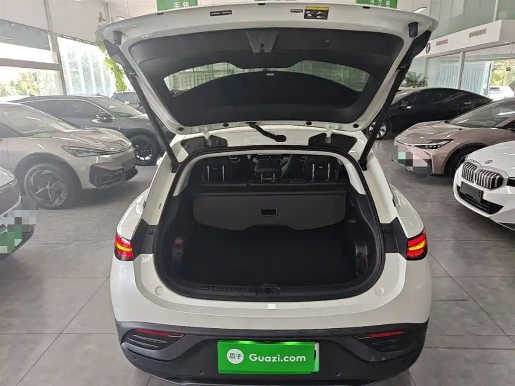 smart Elf #3 2023 Pro+ version купить на сайте DeffCars
