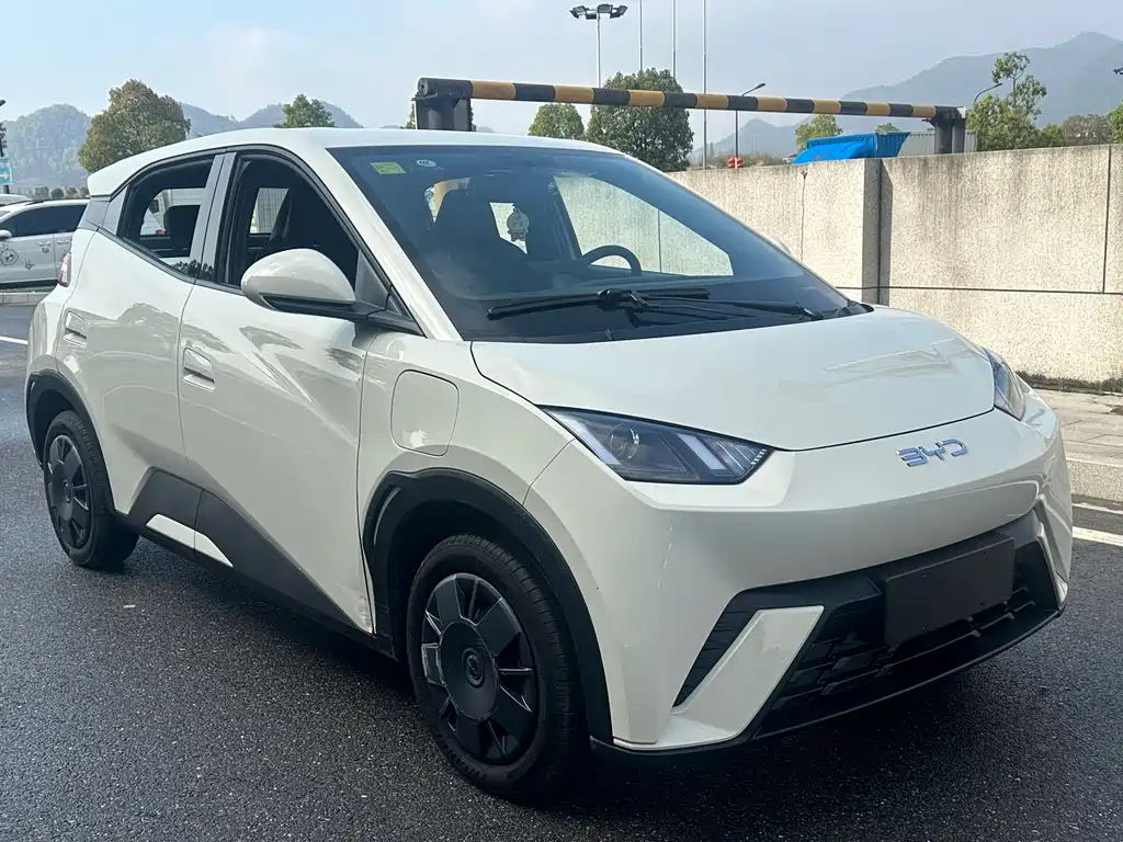 Seagull 2024 Honor Edition 305km Vitality Edition купить на сайте DeffCars