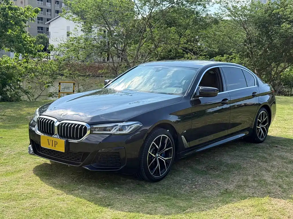 BMW 5 Series 2021 530Li Leading M Sports Package купить на сайте DeffCars