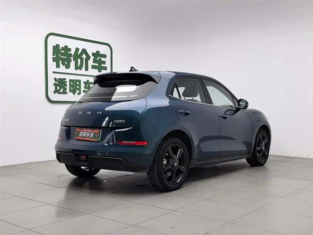 Euler Good Cat 2024 Model 401km Luxury Model купить на сайте DeffCars