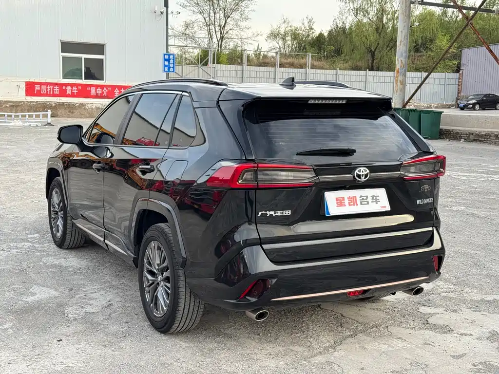 Wilanda 2024 2.0L CVT two-wheel drive luxury PLUS version купить на сайте DeffCars
