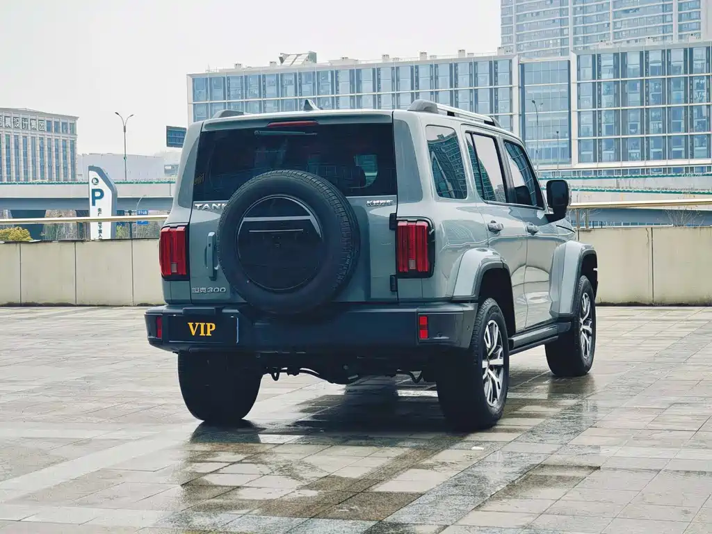 Tank 300 2023 City Edition 2.0T Very Stylish купить на сайте DeffCars