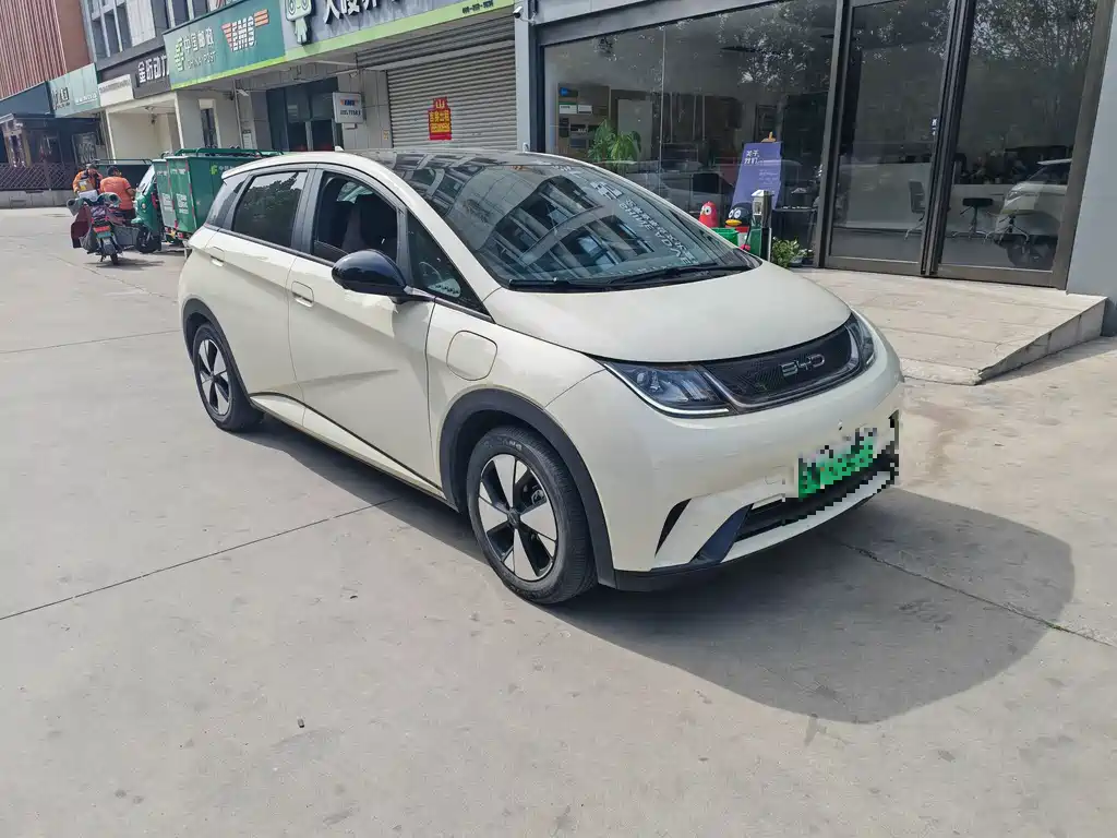 Dolphin 2023 420km Free Edition купить на сайте DeffCars