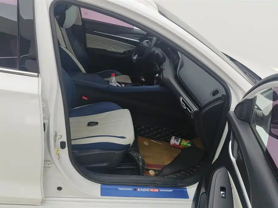 EADO 2021 PLUS Blue Whale NE 1.4T GDI DCT flagship model купить на сайте DeffCars