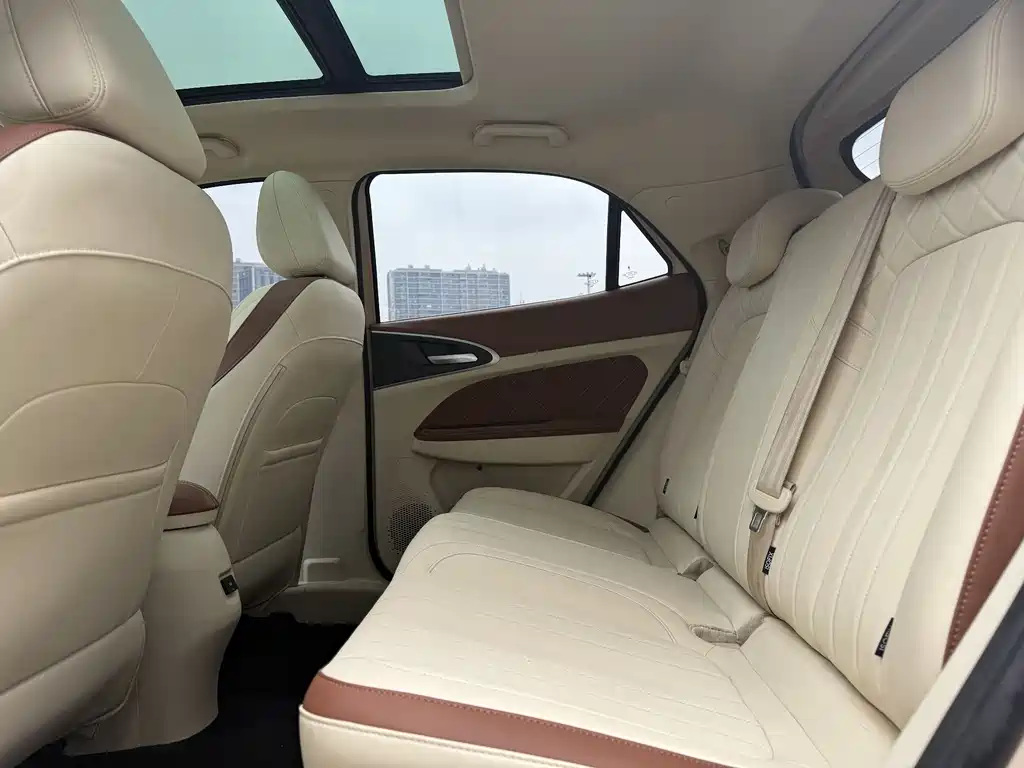 Euler Good Cat 2021 Model 400km Standard Range Venus Edition Lithium Iron Phosphate купить на сайте DeffCars