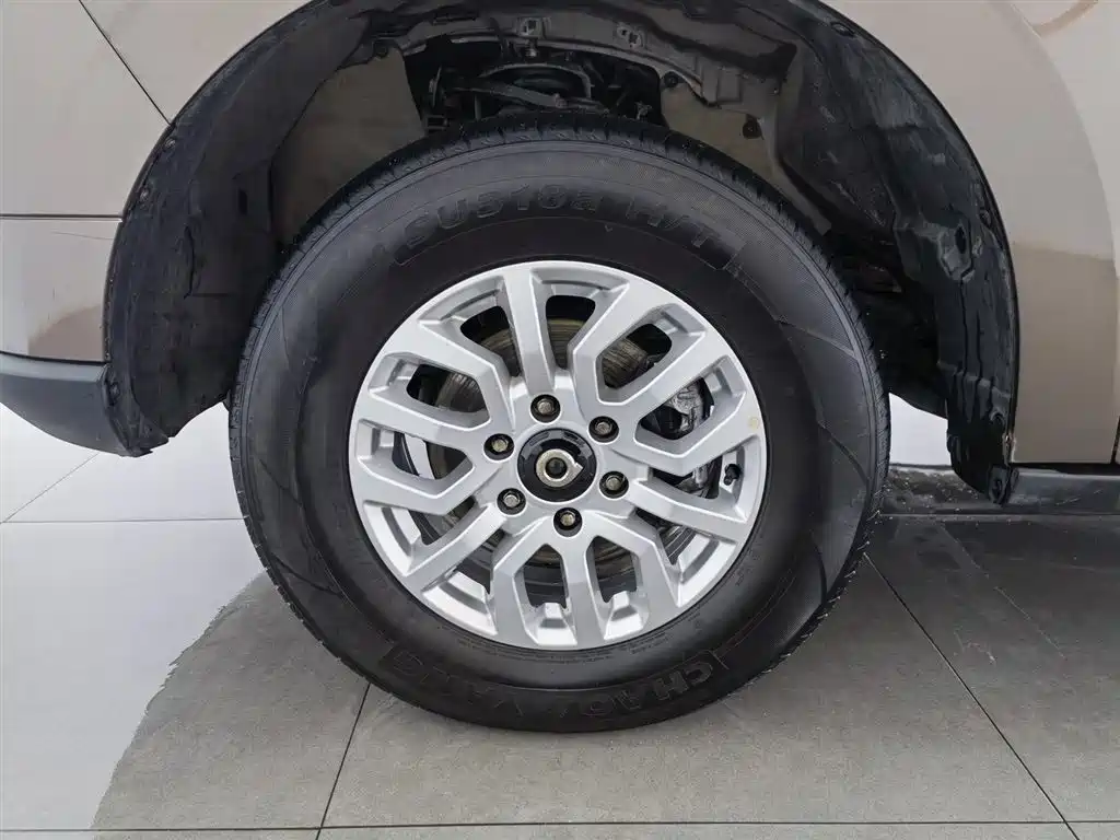 Cannon 2019 2.0T commercial version manual diesel two-wheel drive elite long box GW4D20M купить на сайте DeffCars