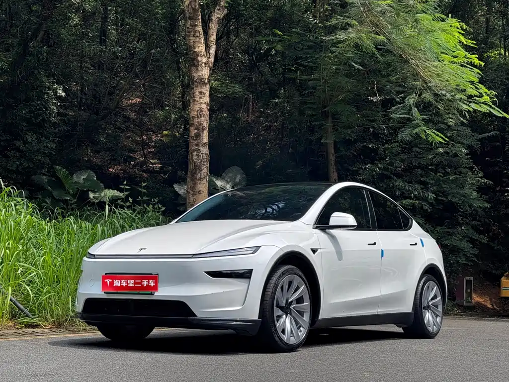 Model Y 2025 rear-wheel drive version купить на сайте DeffCars