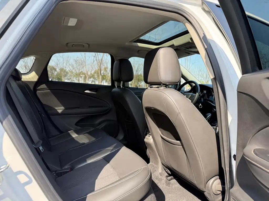 Weilang 2020 20T CVT leading model купить на сайте DeffCars