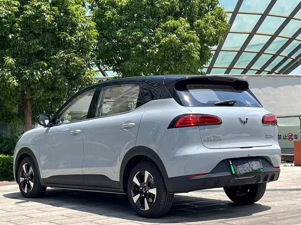 Binguo plus (Bingo) 2024 510km Five Seater Edition купить на сайте DeffCars