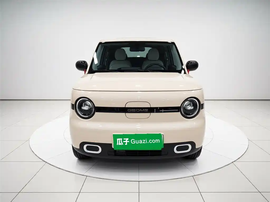 Panda 2025 Panda mini 210km Yuanqi Bear купить на сайте DeffCars