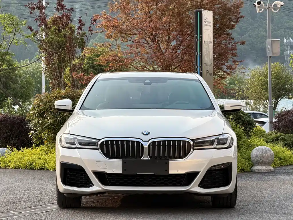 BMW 5 Series 2021 530Li Leading M Sports Package купить на сайте DeffCars