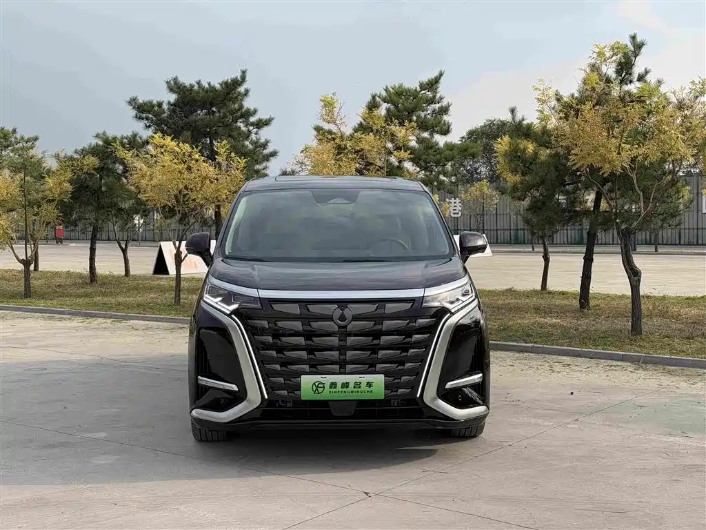 Denza D9 2024 DM-i 980 four-wheel drive premium model купить на сайте DeffCars
